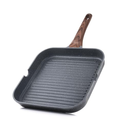 Best Outdoor Skillet Grill for Kitchen Professionals