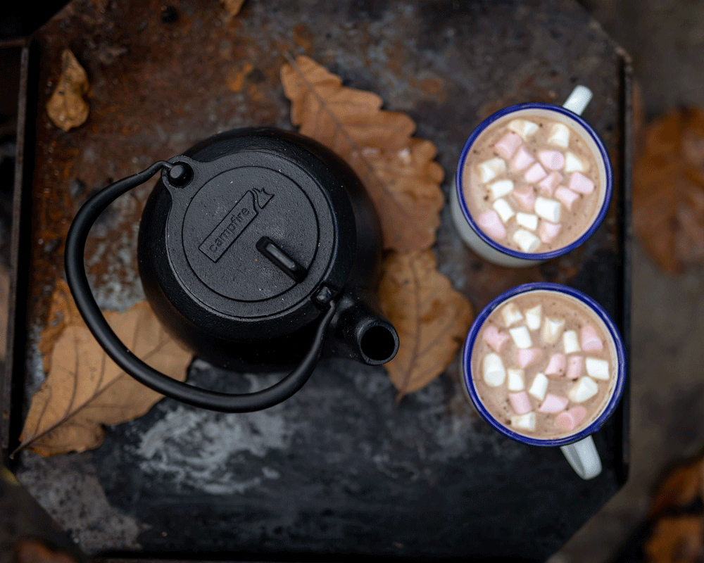 Pie Iron Sandwich Makers: Best Models to Try Now