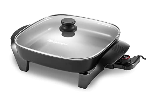 Best Stainless Steel Electric Skillet Reviews for 2024