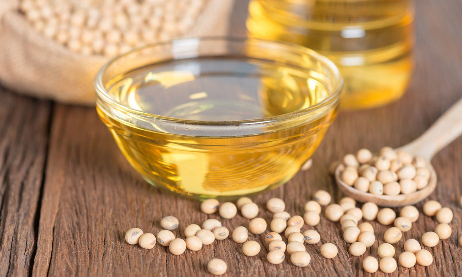 What is High Oleic Soybean Oil? A Comprehensive Guide for Kitchen Professionals