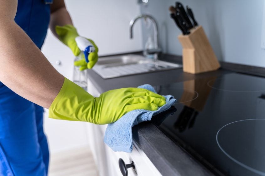 Exclusive Tips on How to Clean Your Kitchen Sponge Effectively