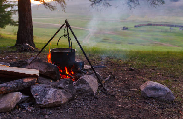 Best Hibachi Grills: Top Picks for Every Budget 2025