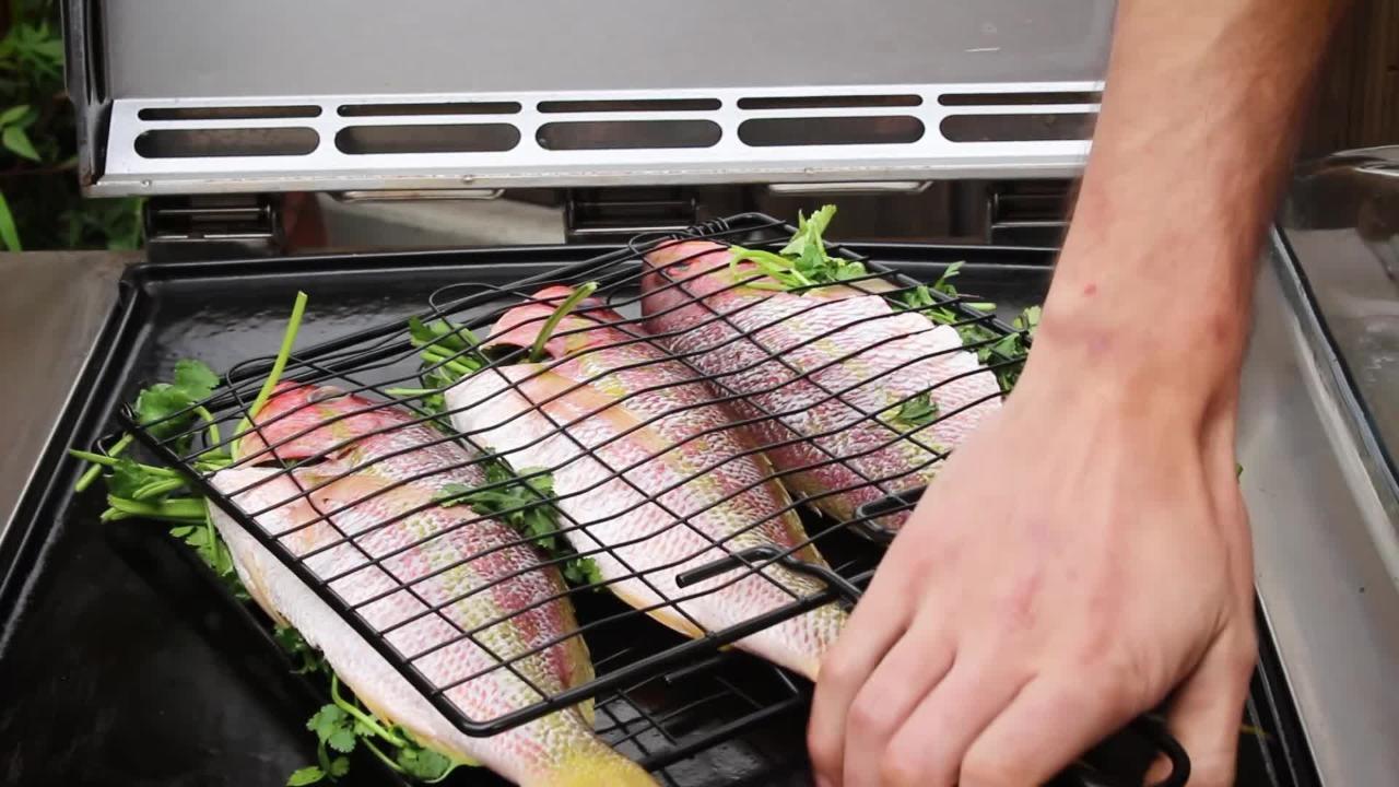 How to Grill with a Grill Basket: Terrific Tips for Big Taste?