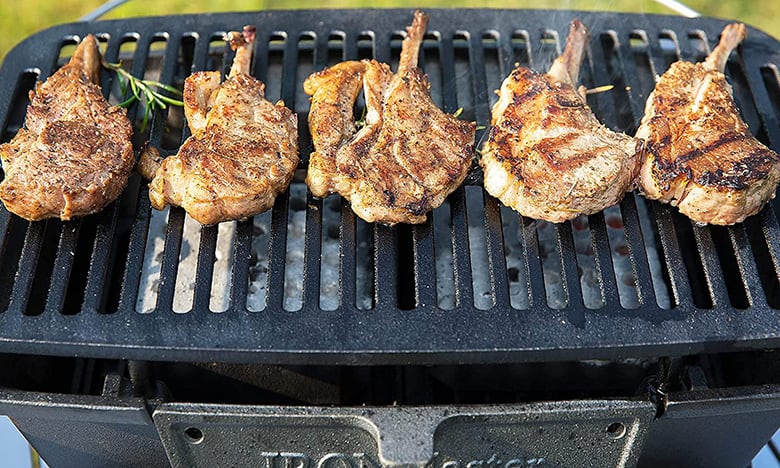 How to Choose the Best Pie Iron for Your Needs?