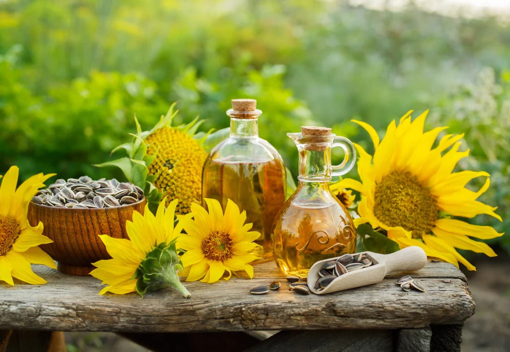 Canola vs Vegetable Oil: An Unmissable Guide to Their Uses and Benefits